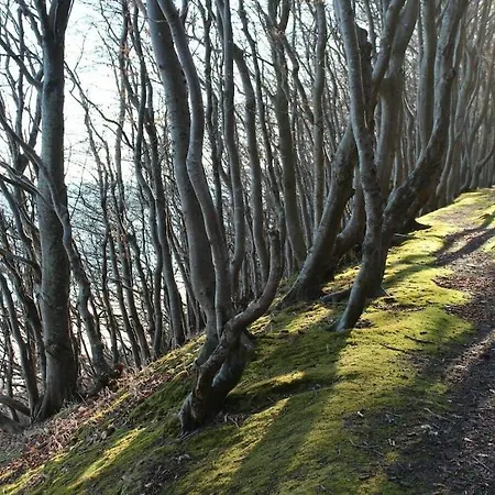 With 3 Bedrooms Tatil Evi *