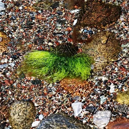 Tatil Evi With 3 Bedrooms *